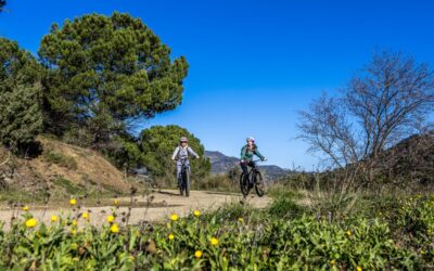 BIKE PERINET