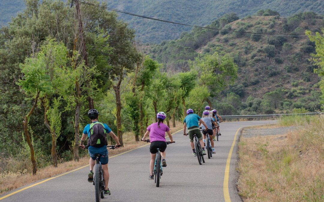 Sortida en bicis de lloguer